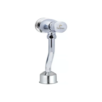 Taumm - Llave Temporizada Urinario Descarga Regulable Boton