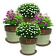 thumbnail image 2 of Set de 4 Maceta Greta 22cm Menta y sus platos, 2 of 3