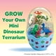thumbnail image 2 of Kit de terrario Creativity para niños, minidinosaurio de jardín, 2 of 7