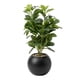 thumbnail image 1 of Planta Artificial Ficus Decorativa Maceta Decoracion Hogar negro, 1 of 9