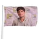 thumbnail image 1 of Bandera Decorativa Josh Hutcherson 90 cm x 150 cm, 1 of 6