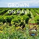 thumbnail image 5 of Café molido tueste oscuro Maui Coffee Co 198 g, 5 of 9