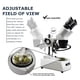thumbnail image 5 of Microscopio estereoscópico binocular Vision Scientific VMS0002-LD-24-ES2, 5 of 6
