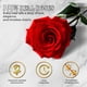 thumbnail image 4 of Flores preservadas Vryblos 50 Forever Red Roses en caja, 4 of 8