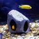thumbnail image 2 of Cueva para acuario SpringSmart de 3.5 x 3.5 x 3.35 pulgadas, 2 of 3