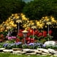 thumbnail image 2 of 1pc Solar Garden Firework Lights, Upgraded 120 LED Solar Lights, Outdoor Waterproof With 8 Lighting Modes For Garden, Patio, Yard, Flowerbed, Parties, 2 of 2