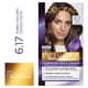 thumbnail image 1 of Coloración Excellence Cabello Rubio Oscuro Cenizo Matte Tono 6.17, 47 g, 1 of 1