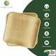 thumbnail image 2 of Platos llanos Charity Leaf, compostables, 25 cm, hoja de palma (paquete de 50), 2 of 5