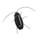 thumbnail image 3 of Novedad, Con Energía Solar, Simulación, Insectos, Animales, Modelo, Cucaracha De Juguete, 3 of 3