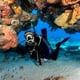 thumbnail image 4 of Snorkel TUSA SP-0101 Hyperdry Elite II para buceo, color negro y rojo, 4 of 7