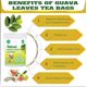 thumbnail image 5 of Té GEELOD de hoja de guayaba – 50 bolsas de 110 g – natural y vegano, 5 of 6