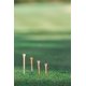 thumbnail image 5 of Camisetas de golf Pride Pro, 7 cm de longitud, madera dura natural, 175 unidades, 5 of 9