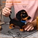 thumbnail image 5 of Set De Bloques De Construcción Rompecabezas 3d Perro Dachshund 2100 Piezas, 5 of 7