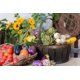 thumbnail image 4 of Café de musgo español en conserva SuperMoss 26972, 200 ml, 4 of 5