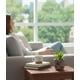 thumbnail image 3 of Set 2 Planta Decorativa Suculenta Adorno Hogar Jhn, 3 of 3