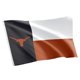 thumbnail image 1 of Bandera Desert Cactus 91 cm x 150 cm UT Austin, 1 of 6