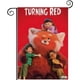 thumbnail image 1 of Red-bandera de jardín temática. Regalo perfecto para fans, amigos y familiares, ideal para actividades al aire libre y decoración de fiestas.28CM*45CM, 1 of 6
