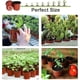 thumbnail image 3 of Xiao Hua 50 Piezas de Macetas de Plástico de 4 Pulgadas para Plántulas con Orificios de Drenaje, Reutilizables, Adecuadas para Germinación de Semillas, Cultivo de Flores y Plantas, Plántulas,, 3 of 4