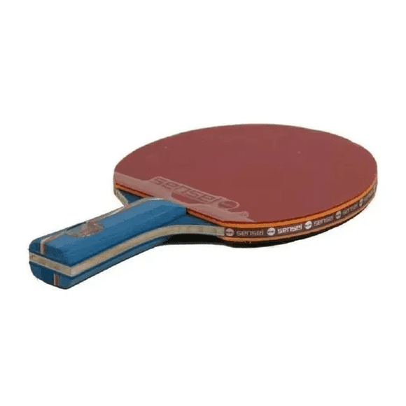 Paleta de ping pong Sensei 6 Star Plus