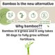 thumbnail image 3 of Papel higiénico MOTHER EARTH Bamboo Ultra Soft, 3 capas, 12 rollos, 3 of 7