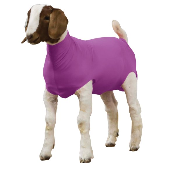 Tubo de Spandex para Cabras Weaver Livestock