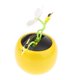 thumbnail image 5 of Flores Solares Toner Depot 10 cm Pack de 8 – Decoración Adorable, 5 of 8