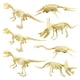 thumbnail image 3 of 7 Modelos De Esqueleto De Dinosaurio Triceratops Juguetes De Aprendizaje Para Cumpleaños Para Niños, 3 of 5