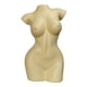 thumbnail image 5 of Florero De Cuerpo Femenino Maceta De Resina Estatuas De Mujer Adorno De Escritorio Decoración Amarillo 19x15x30.5cm, 5 of 5