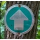 thumbnail image 3 of Trail Marker Wild Drifter Bright reflectante, paquete de 24 unidades, color verde, 3 of 7