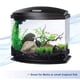 thumbnail image 3 of MiniBow LED Aquarium Aqueon, tamaño pequeño, 19 litros, con SmartClean Black, 3 of 9