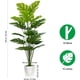 thumbnail image 3 of SAJANDAS artificiales de Monstera Deliciosa Plants con macetas, juego de 2, 3 of 7