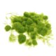 thumbnail image 1 of Artificial Grass Powder Model Building Decor DIY Accesorios Verde Claro, 1 of 5