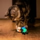 thumbnail image 5 of Gigwi Luciérnaga luz LED y catnip en el interior, 5 of 10