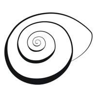 Rienda Libre Graphics - Decomural Spiral Seashell Nautical Ws-15409