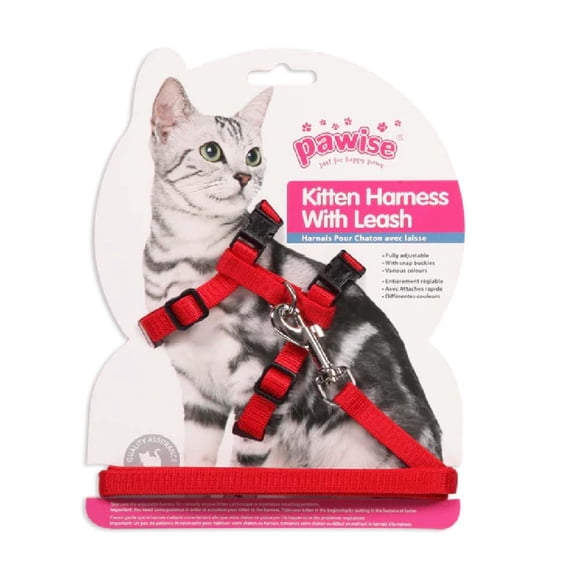 Accesorios Perro Arnes Con Trailla Color Pawise, 1 Un