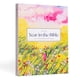 thumbnail image 1 of Libro Un hermoso año en la Biblia Estudio bíblico de 52 semanas para mujeres, 1 of 5