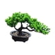 thumbnail image 3 of Pantallas De Escritorio De Bonsai De Plantas Artificiales Para La Altura Del Hotel De La Oficina De La Granja 19 Cm, 3 of 5
