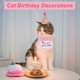 thumbnail image 4 of Decoraciones de Cumpleaños de Gato Sombrero y Pañuelo Rosa, 4 of 7