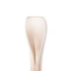 thumbnail image 3 of Bolsa De Cucharitas Compostable Color Beige 9.5cm, 3 of 3