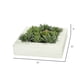 thumbnail image 2 of Planta artificial Vickerman Everyday, 30 x 30 cm, suculenta, color verde, 2 of 7