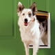 thumbnail image 2 of Puerta de perro Grande para Climas Extremos PetSafe, 2 of 5