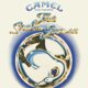 thumbnail image 1 of Música ESOTERIC – Inspirada en el Ganso de Nieve, 1 of 1