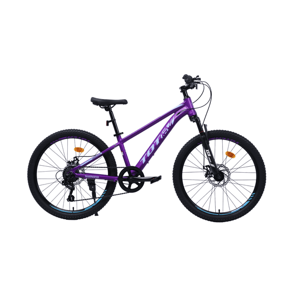 BICICLETA TOTEM MTB ARO 24 SAILING NOVA COLOR MORADO