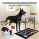 thumbnail image 3 of Comederos para perros SHAINFUN de altura ajustable, 3000 ml, metal, 3 of 7