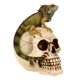thumbnail image 2 of Iguana de resina con calavera de Treasure Cove para decoración de Halloween, 2 of 4