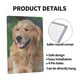 thumbnail image 4 of Cartel de Metal Decorativo Golden Retriever Desmarcar 30x20 cm, 4 of 6