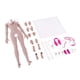 thumbnail image 2 of 1: 6 Esqueleto De Cuerpo Femenino Sin Costuras Con Forma Europea Súper Flexible Nueva Piel De Trigo, 2 of 3