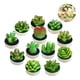 thumbnail image 1 of Pack 12 velas cactus decorativas, 1 of 3