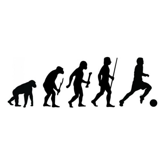 Decomural Evolution Football Sports WS-42938
