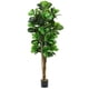 thumbnail image 4 of Planta Artificial Decorativa Arbol Grande Ficus Lyrata 180c, 4 of 8